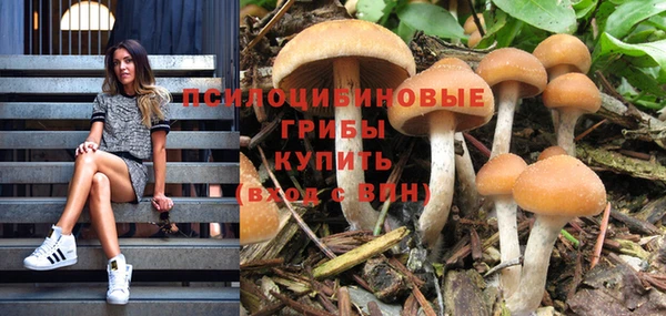 мефедрон мука Каменск-Шахтинский