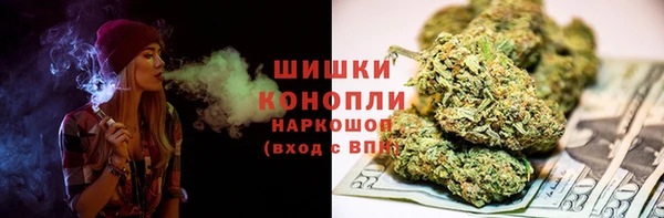 мдпв Каменка