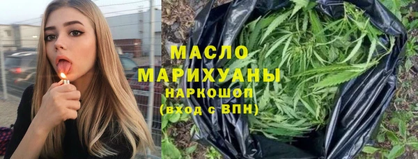 мдпв Каменка