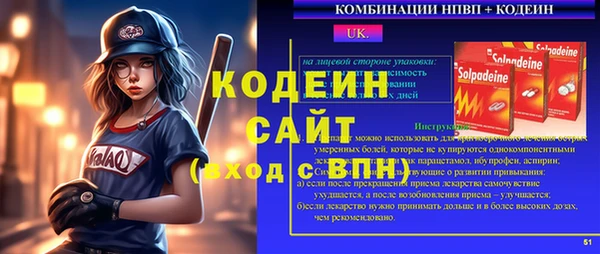 мдпв Каменка
