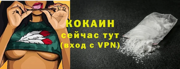мдпв Каменка