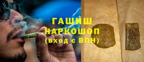 мдпв Каменка