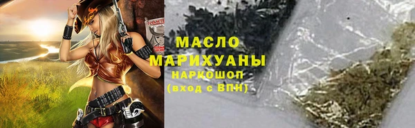 мдпв Каменка